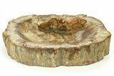 Polished Petrified Wood Dish - Madagascar #282376-2